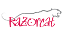 Razorcat Development GmbH